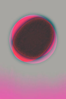 abstract photography #024_2019