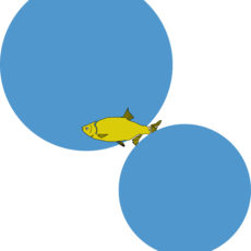fishhead