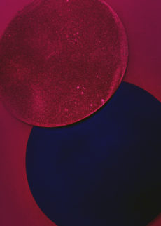 abstract photography #033_2020